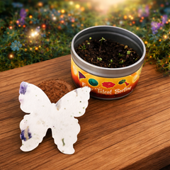 Fairy Talent Awakening ~ A Journey of Seven Sunsets